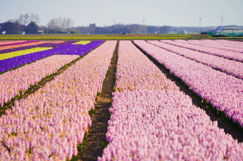 Het perfecte vakantiehuis aan zee kiezen?